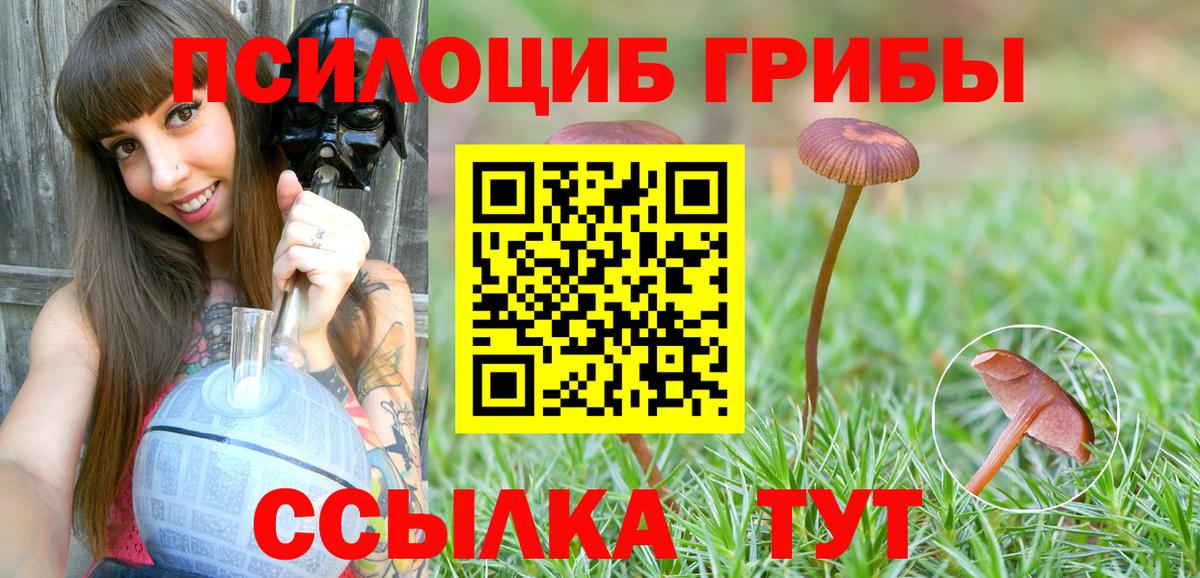 как найти наркотики  Галлюциногенные грибы Cubensis  Вход с VPN  Аксай 