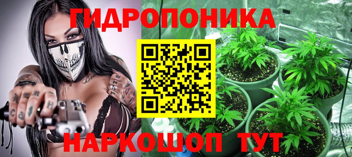 Конопля Ganja  Вход с VPN  Аксай  Конопля индика 